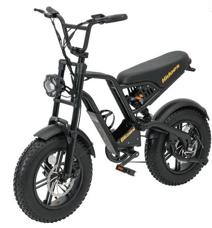 Hidoes B6 Mini Electric Bike for Teens & Adults | 250W 48V Fat Tyre E-Bike
