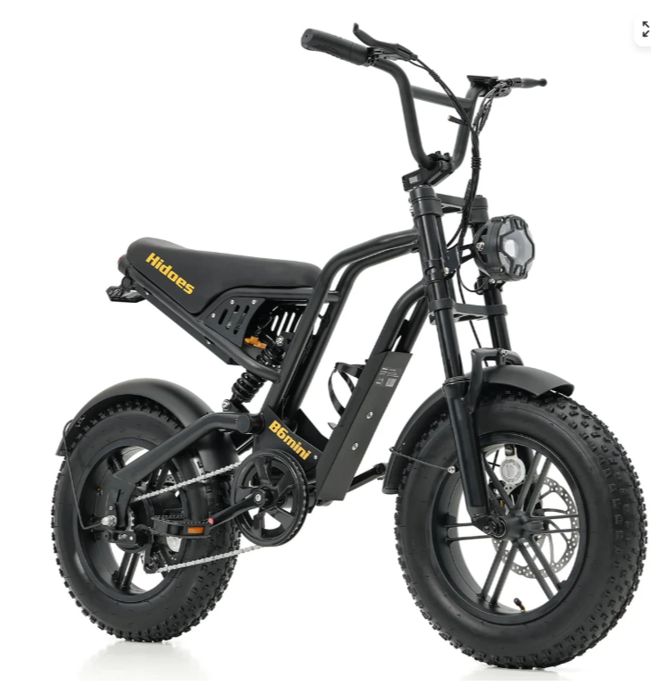 Hidoes B6 Mini Electric Bike for Teens & Adults | 250W 48V Fat Tyre E-Bike