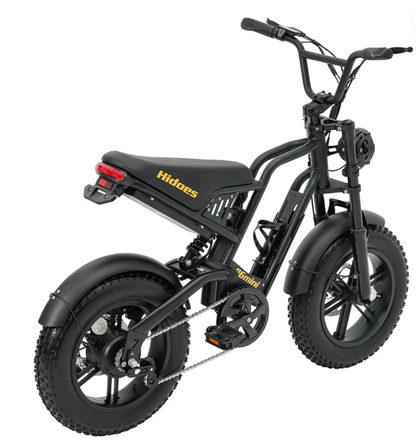 Hidoes B6 Mini Electric Bike for Teens & Adults | 250W 48V Fat Tyre E-Bike
