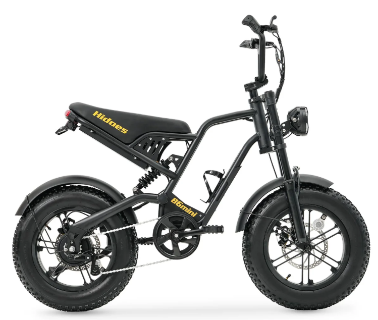 Hidoes B6 Mini Electric Bike for Teens & Adults | 250W 48V Fat Tyre E-Bike