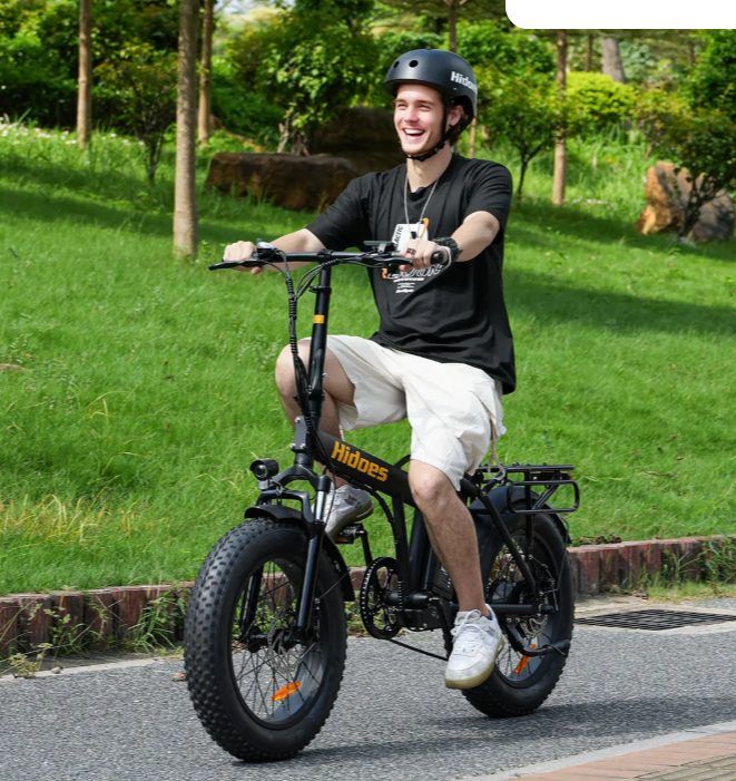 Hidoes F3 Fat Tyre Electric Bike — Power, Range &amp; Smart Design in One